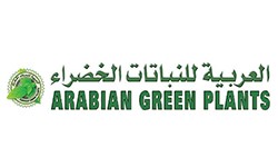 Arabian Green Plants