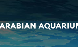 Arabian Aquariam